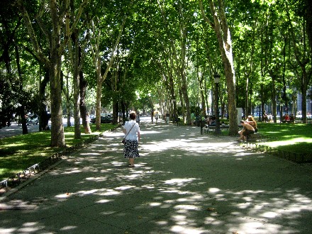 This tree-lined apart immediately in front of the Prado is an attactive and comfortable place to stroll. 