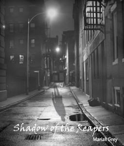 Shadow of the Reapers Photo - smaller